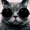 Логотип телеграм канала @gestalt_don — Гештальт-Дон. ОПП ГП МГИ Ростов-на-Дону.