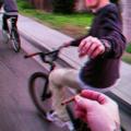 电报频道的标志 gfdfer — qq🫵