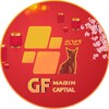 Logo of telegram channel gfmargin — GF Margin Channel