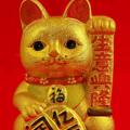电报频道的标志 gg09015 — 新达科技🐰专注实名微信QQ