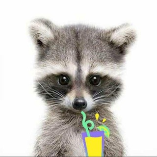 Логотип телеграм канала @ggmemegg — Енот и компот