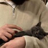 Логотип телеграм канала @gguueest — къонакъ