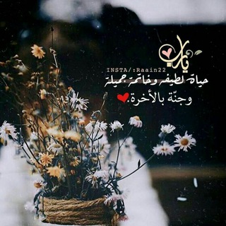 لوگوی کانال تلگرام ghaith_omnia22 — "غيث أُمنيـﮪ🌿🤍".