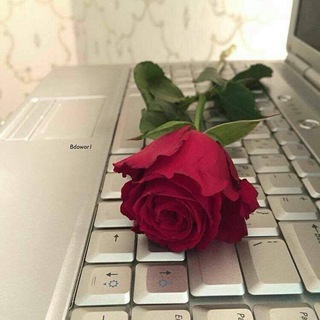 لوگوی کانال تلگرام ghazialrobai — ليه الحزن يانفس🌸