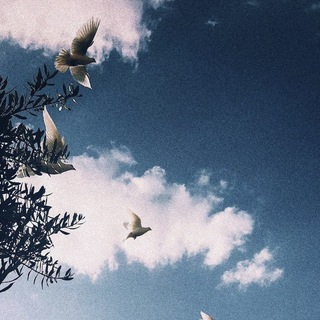 لوگوی کانال تلگرام ghem_7 — 🕊 |☁ غَـــيْـــم ☁| 🕊