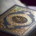 لوگوی کانال تلگرام ghoran1000 — کلام قرآن