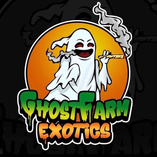 Logo of telegram channel ghostfarm_exotics — GHOST FARM EXOTICS