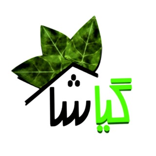 Логотип телеграм канала @giashacom — گیاشا|گلدان|اکسسوری