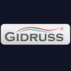 Логотип телеграм канала @gidruss_director — GIDRUSS