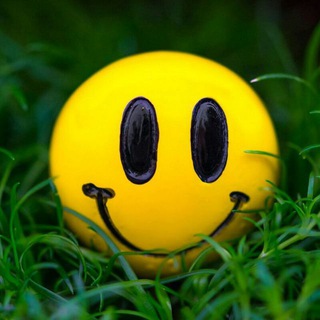 Логотип телеграм канала @giffffffffffffffffffffffffffff — Смешные видео 🔥😅