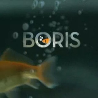 Logo del canale telegramma giffromboris - Gif da Boris