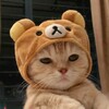 Логотип телеграм канала @giffsmex — Смешные гифки