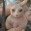 Логотип телеграм канала @gifkarusik — ГИФКАВИЧ
