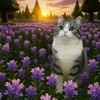 Логотип телеграм канала @gifkikotikii — Милые гифки с котятами
