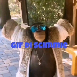Logo del canale telegramma gifscimmie - Gif di scimmie