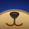 Логотип телеграм канала @giftbearschannel — Bears News
