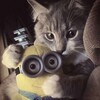 Логотип телеграм канала @giftss_minion — Раздачи от миньона