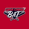Logo of telegram channel gigachadbatann — ⚾️ GIGA CHAD BAT