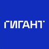 Telegram channel ГИГАНТ - Компьютерные системы logo