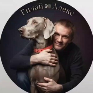 Логотип телеграм канала @gilay_alex — Гилай Алекс