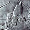 Логотип телеграм канала @gilgamew_genetics — Gilgamew genetics