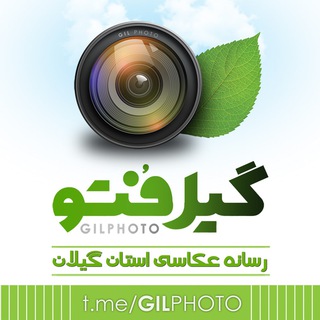 لوگوی کانال تلگرام gilphoto — GilPhoto.ir گیل فتو
