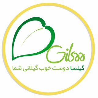 لوگوی کانال تلگرام gilsaa_ir — "گیلسا" فروشگاه محصولات گیلان