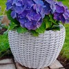 Логотип телеграм канала @ginkul_weaving — Кашпо из ротанга