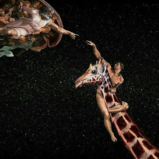 لوگوی کانال تلگرام giraffe_the_bozorgavar — زرافه بزرگوار