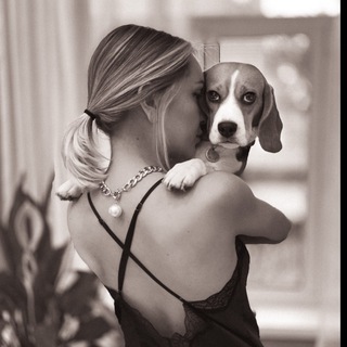 Логотип телеграм канала @girl_with_beagle — Girl with beagle 🐉