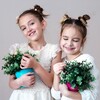 Логотип телеграм канала @girl_perfection — Школа для девочек 🕊