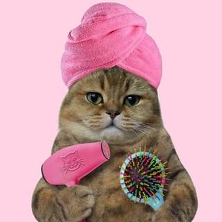 Логотип телеграм канала @girls_womens_humor — Я девочка, мне можно!