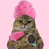 Логотип телеграм канала @girls_womens_humor — Я девочка, мне можно!