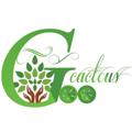 لوگوی کانال تلگرام gisocactus6271 — 🌵🌸گل و کاکتوس گیسو🌵🌸