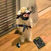 Логотип телеграм канала @give_cs2 — Розыгрыши | CS2