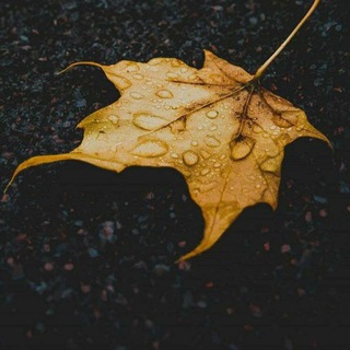 Telgraf kanalının logosu gizlisairler — Şiirhâne