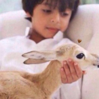 لوگوی کانال تلگرام gkllooo — مـدآهـيـل♩