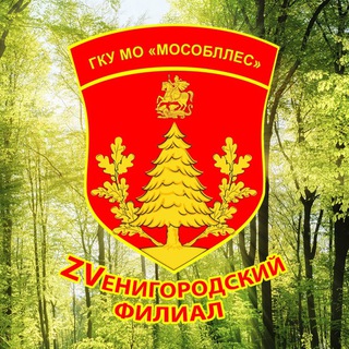 Логотип телеграм канала @gkumol_zve — Звенигородское лесничество