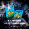 Telegram channel ⚡️Главный Белгородский logo