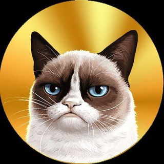 Логотип телеграм канала @globalcriptonews — Grumpy Cat Coin