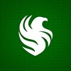 Логотип телеграм канала @globalprostrike — Team Falcons ProStrike