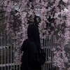 Логотип телеграм канала @gloria_nf — Gloria NFT