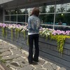 Логотип телеграм канала @gloserttert — полиша бейби