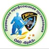 Логотип телеграм канала @gmprbraz — ПРОФСОЮЗ БРАЗА