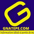 Logo saluran telegram gnatepearticles — Gnatepe.com articles