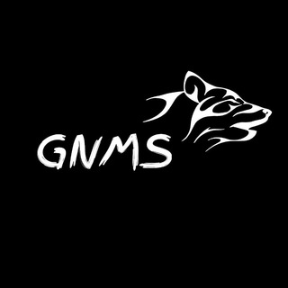 Логотип телеграм канала @gnmseditz4kwhatsappstatus — GNMS Editz ✨ [ No Quality Loss Status 💯🙌🏻 ]
