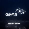 Logo saluran telegram gnmseditzefx — GNMS Editz ❤️‍🔥 - Backup Channel ⚡