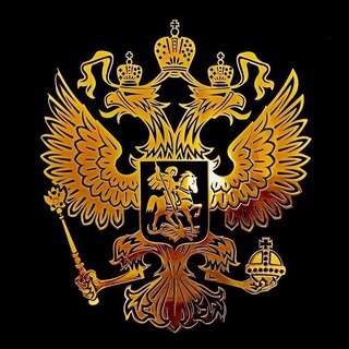 Логотип телеграм канала @go_rezac — Патриот🇷🇺