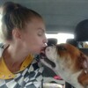 Логотип телеграм канала @go_champion31 — ЗООтакси Белгород Перевозка животных по России🚕