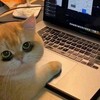 Логотип телеграм канала @go_on_yulechka — Юлечка и безделушки